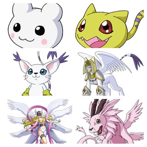 gatomon evolution|More.